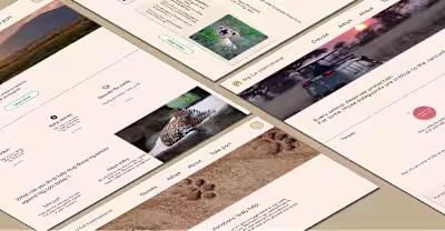 Big cat International mobile app