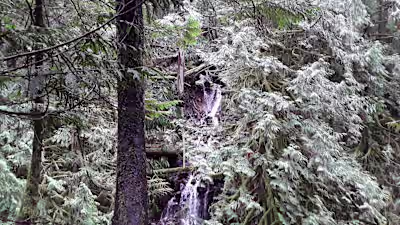 Case Study: Planet Cents, Inc