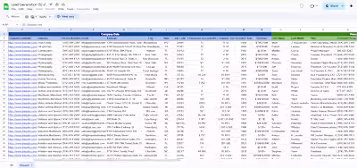 Company and Decision-Maker Identification