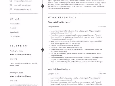 Resume Writing for CEO Position