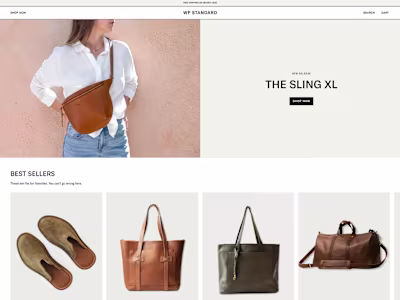 WP Standard a Visually appealing and Modern Store