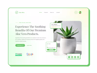 Aloe Vera Shop: From Wireframe to Stunning UI Design