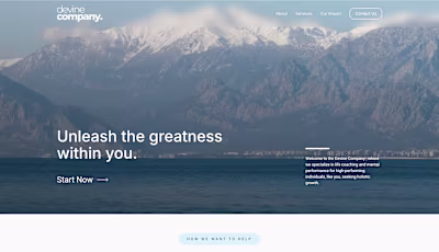 Web Design & Messaging for The Devine Co.
