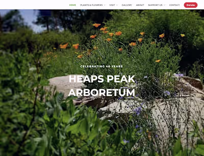 Nonprofit Marketing & Support