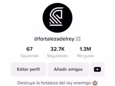 TikTok Algorithm Expert