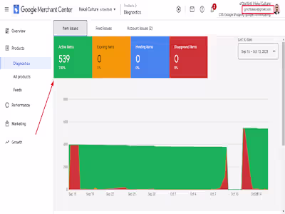 Fix Google merchant center suspension misrepresentation