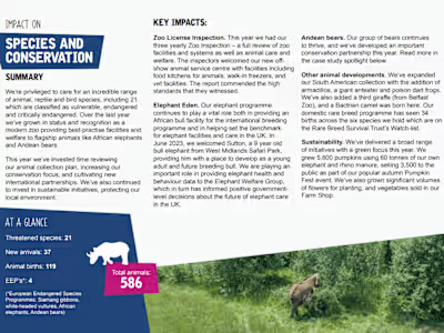 Charity Impact Report - planning and delivery