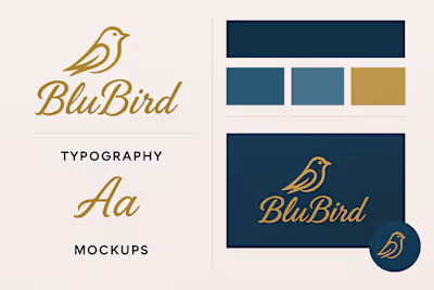 I actually work on my portfolio to make it much better by wh...