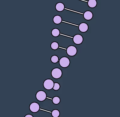 Animated DNA Loop