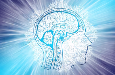 Journalism - Do Psychedelics Change Beliefs?