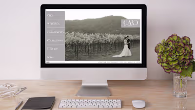 WordPress Web Design