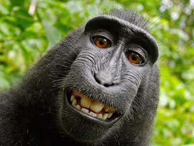 Script writer for humor sketch 