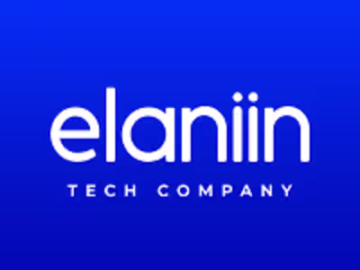 Senior Frontend Developer at Elaniin
