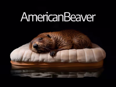 American Beaver