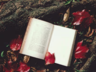 Beta Reading- Review of the Blue