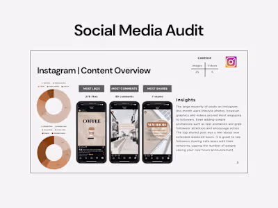 Social Media Audit