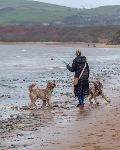 Dog walker promotion photoshoot