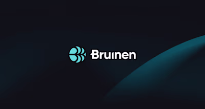 SaaS AI Platform for Data Management | Bruinen