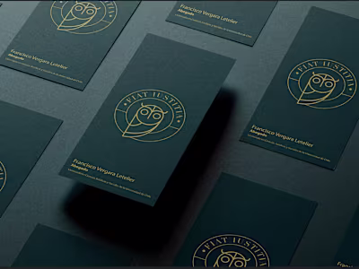 Francisco Vergara L. | Visual identity