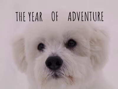 The Year of Adventure