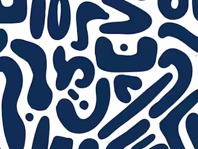 Project Management for Outbound Investment