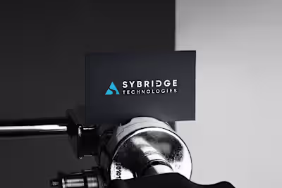 SyBridge Technologies — Maja Stojanovic