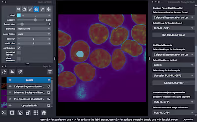 PyCAT-Napari Bio-image Analysis Platform