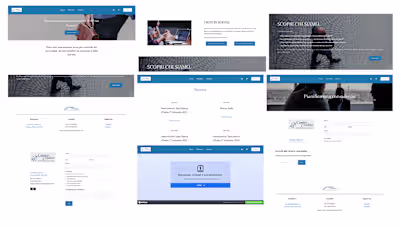 Minimalist Web Design for Financial and Consulting Agency