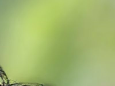 GitHub - 0xDevvvvv/DBMSProject: Library Management System