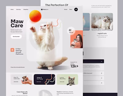 A modern and playful landing page design for a premium cat c...