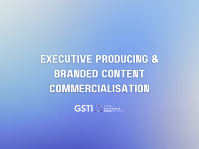 B2B Media & Commercial Strategy - GSTI
