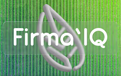 Firma'IQ Branding 