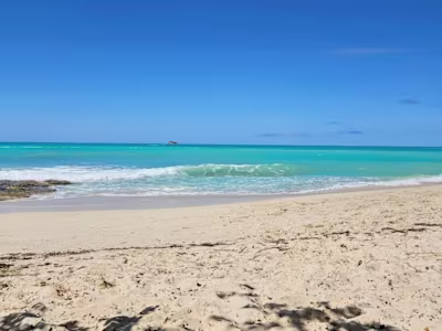 Work with me to craft compelling content that elevates your ...