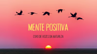 Mente Positiva - Coro de Vozes da Natureza - YouTube