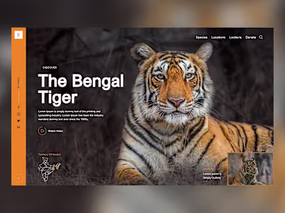 WordPress Landing Page Design in Figma