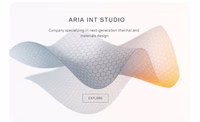 ARIA INT – Enterprise Grade Ecommerce Website Development