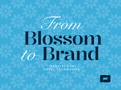 Tourmaline Brand Identity