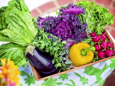 Perishables, the Cold Chain, and the FDA 