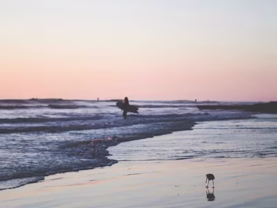 You are not a special flower - Farrah Haidar - Atlanta Creative…