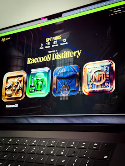Raccoon GIN - WEB3 project