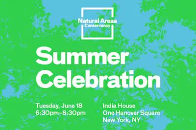 Natural Areas Conservancy