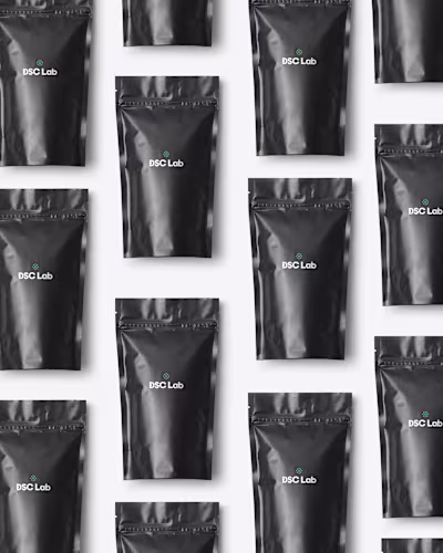 DSC Lab - Web Design & Brand Identity