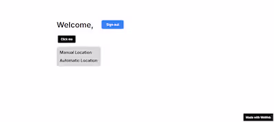 Mini MVP web development app for Walkstory