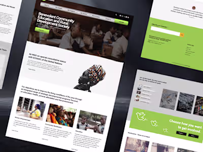 Empowering Change Online: The BERDSCO Website Transformation
