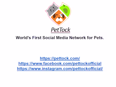 Designed a Pitch Deck for Pettock, a Social Platform for Pets