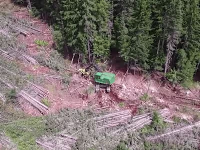 The Interior Lumber Manufacturers Association - Video Production