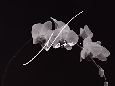 Brand Identity Design for Noir