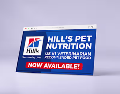 NOVA PHARMA PARTICIPATION IN MEAVC CONGRESS :: Behance