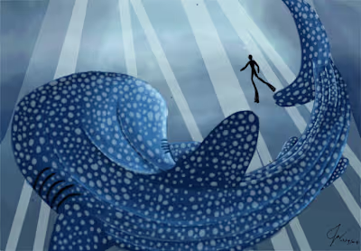 The Whale Shark