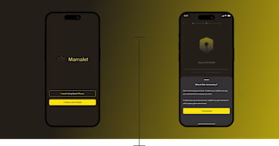Designing for Security & Safety: A Crypto Wallet Onboarding